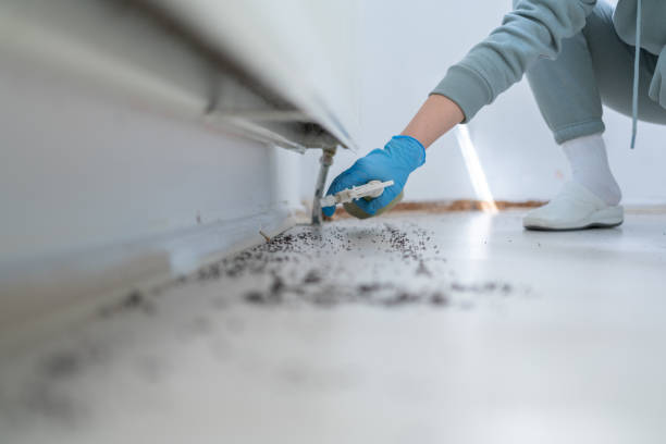 Best Residential Pest Control  in Woxall, PA